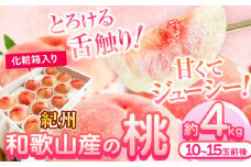 【先行予約】桃 もも 紀州 和歌山産 の 桃 4kg 化粧箱入 魚鶴商店《6月下旬-8月末頃出荷》 和歌山県 日高川町 贈り物 ギフト