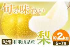 【先行予約】紀州和歌山県産の梨 約2kg 5～7玉 化粧箱入 魚鶴商店《8月中旬-9月上旬出荷》和歌山県 日高川町 和歌山県産 梨 なし ナシ 贈り物 ギフト