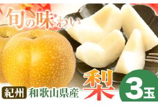 【先行予約】紀州和歌山県産の梨 3玉 化粧箱入 魚鶴商店《8月中旬-9月上旬出荷》和歌山県 日高川町 和歌山県産 梨 なし ナシ 贈り物 ギフト