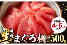まぐろ 那智勝浦直送 天然生まぐろ 柵 500g 株式会社魚鶴《30日以内に出荷予定(土日祝除く)》和歌山県 日高川町 まぐろ 魚 マグロ 柵 海鮮 鮪 魚介 さかな
