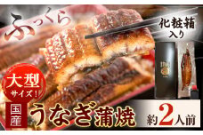 うなぎ 大型サイズ ふっくら柔らか国産 うなぎ 蒲焼き 1尾 化粧箱入(真空パック入) 株式会社魚鶴《30日以内に出荷予定(土日祝除く)》 和歌山県 日高川町 うなぎ 鰻 ギフト 贈り物