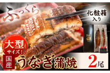 うなぎ 大型サイズ ふっくら柔らか国産 うなぎ 蒲焼き 2尾 化粧箱入(真空パック入) 株式会社魚鶴《30日以内に出荷予定(土日祝除く)》 和歌山県 日高川町 うなぎ 鰻 ギフト 贈り物