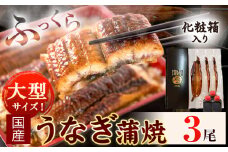 大型サイズ ふっくら柔らか国産 うなぎ 蒲焼き 3尾 化粧箱入(真空パック入) 株式会社魚鶴商店《30日以内に出荷予定(土日祝除く)》 和歌山県 日高川町 うなぎ 鰻 ギフト 贈り物