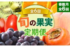 和歌山県の旬の果実を奇数月にお届け 全6回定期便 厳選館《1月上旬-11月末頃出荷》和歌山県 日高町 果物 フルーツ キウイ キウイフルーツ 清見オレンジ オレンジ アイコトマト トマト 桃 ニューピオーネ 富有柿 柿 送料無料【配送不可地域あり】