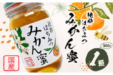 みかん蜂蜜 はちみつ 300g 1本 野田養蜂園《60日以内に出荷予定(土日祝除く)》和歌山県 日高川町 蜂蜜 みかん ハニー はちみつ 蜜 ハチミツ