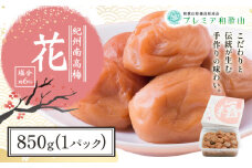 梅干し 紀州南高梅 花 塩分 約6% 850g 1パック 《60日以内に出荷予定(土日祝除く)》 株式会社やまだ 和歌山県 日高川町 梅 塩 梅干し 米 おかず 国産 送料無料