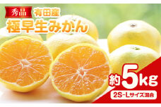 みかん【秀品】有田産極 早生 みかん 約5kg (2S～Lサイズ混合) 厳選館 先行予約《2025年10月上旬-12月中旬頃出荷》和歌山県 日高川町 早生みかん みかん 完熟 柑橘 蜜柑 ミカン フルーツ 果物