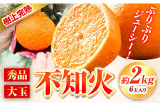 ＜先行予約＞ 秀品 大玉 不知火 ( デコポン と同品種) 約 2kg 6玉 紀農人株式会社《2026年2月末-4上旬頃出荷》 和歌山県 日高川町 果物 フルーツ 柑橘 蜜柑 柑橘類 旬 しらぬい