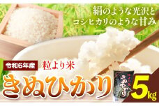 令和6年産 粒より米 きぬひかり 5kg JA紀州 さわやか日高《90日以内に出荷予定(土日祝除く)》 和歌山県 日高川町 米 こめ コメ きぬひかり キヌヒカリ 送料無料 精米