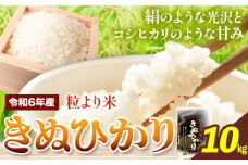 令和6年産 粒より米 きぬひかり 10kg JA紀州 さわやか日高《90日以内に出荷予定(土日祝除く)》 和歌山県 日高川町 米 こめ コメ きぬひかり キヌヒカリ 送料無料 精米