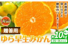 【先行予約】秀品 贈答用 ゆら 早生みかん 約 10kg (2S～2Lサイズ) 笑いの里のTommyファーム《10月上旬-11月末頃出荷》和歌山県 日高川町 みかん 早生 贈答用 旬 柑橘 フルーツ 果物 ミカン 柑 産地直送 箱入り