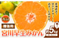 【先行予約】秀品 贈答用 宮川 早生 みかん 約 5kg (2S～2Lサイズ) 笑いの里のTommyファーム《11月下旬-1月上旬頃出荷》和歌山県 日高川町 みかん 早生 贈答用 旬 柑橘 フルーツ 果物 ミカン 柑 産地直送 箱入り
