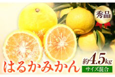 【先行予約】【さわやか柑橘】秀品 和歌山県産 はるかみかん 約4.5kg （サイズ混合）日高川町厳選館《2026年2月中旬～4月中旬頃より出荷予定》和歌山県 日高川町 送料無料 はるか みかん 柑橘 フルーツ 果物