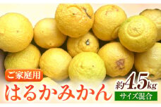 【先行予約】【さわやか柑橘】ご家庭用 和歌山県産 はるかみかん 約4.5kg （サイズ混合）日高川町厳選館《2026年2月中旬～4月中旬頃より出荷予定》和歌山県 日高川町 送料無料 はるか みかん 柑橘 フルーツ 果物 訳あり ワケアリ わけあり