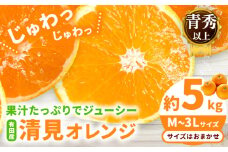 【先行予約】【濃厚】有田産 清見 オレンジ 約 5kg（M～3Lサイズおまかせ）青秀以上 日高川町厳選館《2026年2月中旬-3月末頃より出荷予定》和歌山県 日高川町 柑橘 果物 フルーツ 清見オレンジ
