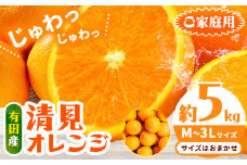 有田産 清見 オレンジ約 5kg（M～3Lサイズおまかせ） 日高川町厳選館《2026年2月中旬-3月末頃より出荷予定》和歌山県 日高川町 柑橘 果物 フルーツ 清見オレンジ