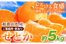 【先行予約】【家庭用 訳あり】とろける食感!ジューシー柑橘 せとか 約5kg 株式会社魚鶴 《2026年2月上旬-3月中旬頃出荷》 和歌山県 日高川町 みかん 柑橘 果物 フルーツ 送料無料