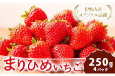 【先行予約】紀州和歌山ブランドいちご「まりひめ」約250g×4パック 約1kg 株式会社魚鶴《2026年3月上旬-3月下旬頃より出荷予定》和歌山県 日高川町 いちご 苺 まりひめ フルーツ 果物 スイーツ 送料無料