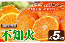 【先行予約】紀州有田産不知火( デコポン と同品種 ) 約 5kg 株式会社魚鶴《2026年2月中旬-3月中旬頃出荷》 和歌山県 日高川町 不知火 しらぬい 柑橘デコポン でこぽん しらぬい デコポン