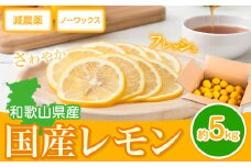 国産 レモン 約5kg (L～4Lサイズ)  ノーワックス 減農薬 どの坂果樹園《2026年2月上旬-5月末頃出荷》 和歌山県 日高川町 レモン れもん 檸檬 果物 フルーツ 国産レモン レモネード レモンサワー はちみつレモン はちみつ ハイボール 旬 柑橘 フルーツ 果物 送料無料