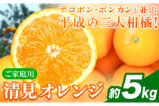 【ご家庭用訳アリ】 紀州有田産清見オレンジ 約5kg 株式会社魚鶴商店《2026年3月下旬-4月中旬頃出荷》 和歌山県 日高川町 オレンジ 柑橘 ご家庭用 フルーツ