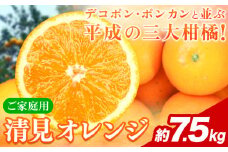 【ご家庭用訳アリ】 紀州有田産清見オレンジ 約7.5kg 株式会社魚鶴商店《2026年3月下旬-4月中旬頃出荷》 和歌山県 日高川町 オレンジ 柑橘 ご家庭用 フルーツ