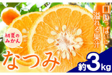 ＜先行予約＞初夏のみかん なつみ 約 3kg 株式会社 魚鶴商店《2026年4中旬-4月下旬頃出荷》 和歌山県 日高川町 みかん なつみ 南津海 柑橘 果物 フルーツ 送料無料