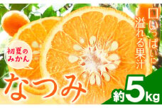 ＜先行予約＞初夏のみかん なつみ 約 5kg 株式会社 魚鶴商店《2026年4中旬-4月下旬頃出荷》 和歌山県 日高川町 みかん なつみ 南津海 柑橘 果物 フルーツ 送料無料