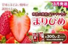 【2026年3月頃発送予定】和歌山県産ブランド いちご「まりひめ」約300g×2パック (15または18粒おまかせ) 日高川町厳選館《3月上旬-3月末頃出荷予定》和歌山県 日高川町 送料無料 苺 鞠姫 マリヒメ フルーツ 果物 お取り寄せ 【配送不可地域あり】