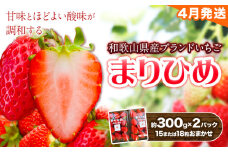 【4月発送】和歌山県産ブランド いちご「まりひめ」約300g×2パック (15または18粒おまかせ) 日高川町厳選館《4月上旬-4月末頃出荷予定》和歌山県 日高川町 送料無料 苺 鞠姫 マリヒメ フルーツ 果物 お取り寄せ 【配送不可地域あり】