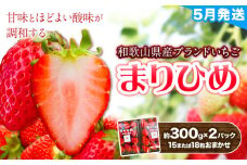 【2026年5月発送】和歌山県産ブランド いちご「まりひめ」約300g×2パック (15または18粒おまかせ) 日高川町厳選館《5月上旬-5月末頃出荷予定》和歌山県 日高川町 送料無料 苺 鞠姫 マリヒメ フルーツ 果物 お取り寄せ 【配送不可地域あり】