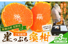 みかん ご家庭用 崖っぷち蜜柑 若野産 約3kg 2S～Lサイズ混合 《11月下旬-1月上旬頃出荷予定》 崖っぷち蜜柑 和歌山県 日高川町 みかん 柑橘 フルーツ 果物 ミカン 送料無料
