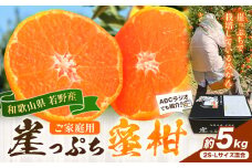 みかん ご家庭用 崖っぷち蜜柑 若野産 約5kg 2S～Lサイズ混合 《11月下旬-1月上旬頃出荷予定》 崖っぷち蜜柑 和歌山県 日高川町 みかん 柑橘 フルーツ 果物 ミカン 送料無料