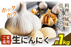 【先行予約】にんにく 野菜 和歌山県産 生にんにく 約1kg ご家庭用 日高川町厳選館 《5月上旬-5月中旬頃出荷》 和歌山県 日高川町 ガーリック 青果物