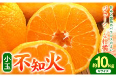 先行予約 小玉 不知火 ( デコポン )と同品種 約10kg 長岡農園《2026年3月中旬-4月下旬頃出荷》和歌山県 日高川町 果物 フルーツ 柑橘 不知火 しらぬい 小玉 送料無料