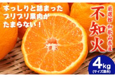 和歌山県産 不知火 約4kg(サイズ混合) 厳選館《2月中旬-4月上旬頃出荷》和歌山県 日高川町 デコポン でこぽん 柑橘 不知火 しらぬい 大玉 送料無料