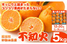 和歌山県産 不知火 選べる 約5kg(12玉～20玉おまかせ)  厳選館《2月中旬-4月上旬頃出荷》和歌山県 日高川町 デコポン でこぽん 柑橘 不知火 しらぬい 大玉 送料無料