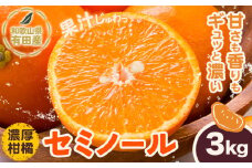 【先行予約】和歌山県 有田産 セミノール 約3kg (サイズ混合 秀品) 厳選館《4月中旬-5月中旬頃出荷》和歌山県 日高川町 柑橘 オレンジ みかん 果物 フルーツ 青果 送料無料