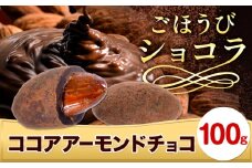 チョコ チョコレート ココア アーモンドチョコ 100g《30日以内に出荷予定(土日祝除く)》和歌山県 日高川町 送料無料 スイーツ デザート お菓子 おやつ チョコ アーモンド アーモンドチョコ ココア