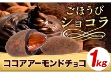 チョコ チョコレート ココア アーモンドチョコ 1kg《30日以内に出荷予定(土日祝除く)》和歌山県 日高川町 送料無料 スイーツ デザート お菓子 おやつ チョコ アーモンド アーモンドチョコ ココア