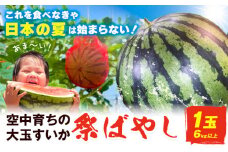すいか【2026年先行予約】贅沢な甘さとシャリ感 空中育ちの大玉すいか 祭ばやし 6kg以上 1玉 そうがわ農園 《2026年6月下旬-8月上旬頃出荷》 和歌山県 日高川町 スイカ 西瓜 すいか 大玉