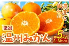 みかん 温州みかん 厳選 5kg S-M サイズ 小玉みかん GOGO農園《11月上旬-1月中旬頃出荷》和歌山県 日高川町 みかん 柑橘類 うんしゅうみかん みかん 柑橘 蜜柑 フルーツ 送料無料