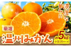 みかん 温州みかん 厳選 5kg 小玉 2Sサイズ 小玉みかん GOGO農園《11月上旬-1月中旬頃出荷》和歌山県 日高川町 みかん 小玉 柑橘類 うんしゅうみかん みかん 柑橘 蜜柑 フルーツ 送料無料