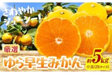 みかん ゆら早生みかん 厳選 小玉 2Sサイズ 5kg GOGO農園《10月上旬-11月末頃出荷》和歌山県 日高川町 みかん 柑橘類 早生 柑橘 蜜柑 フルーツ 送料無料