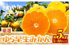 みかん ゆら早生みかん 厳選 S-M サイズ 5kg GOGO農園《10月上旬-11月末頃出荷》和歌山県 日高川町 みかん 柑橘類 早生 柑橘 蜜柑 フルーツ 送料無料