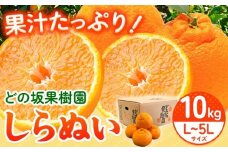 【先行予約】不知火 ( デコポン と同品種 ) しらぬい 約 10kg (L～5Lサイズ) どの坂果樹園《2026年2月中旬-4月上旬頃出荷》 和歌山県 日高川町 しらぬい 不知火 デコポン でこぽん 旬 果物 フルーツ くだもの 和歌山 しらぬい 柑橘 産地直送 送料無料