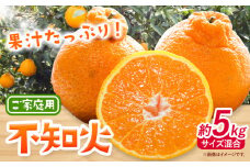 みかん 不知火 ご家庭用 5kg サイズ混合 GOGO農園《1月下旬-3月末頃出荷》 和歌山県 日高川町 しらぬい みかん 柑橘 蜜柑 フルーツ 送料無料 st-p