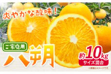 みかん 八朔 ご家庭用 10kg サイズ混合 GOGO農園《10月下旬-12月末頃出荷》 和歌山県 日高川町 はっさく みかん 柑橘 蜜柑 フルーツ 送料無料 st-p