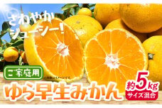  みかん ゆら早生みかん ご家庭用 5kg サイズ混合 GOGO農園《2025年10月上旬-11月末頃出荷》 和歌山県 日高川町 ゆら早生みかん みかん 早生 柑橘 蜜柑 フルーツ 送料無料