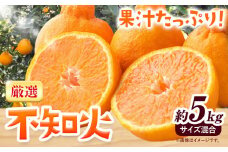 みかん 不知火 厳選 5kg サイズ混合 GOGO農園《1月下旬-3月末頃出荷》 和歌山県 日高川町 しらぬい みかん 柑橘 蜜柑 フルーツ 送料無料 st-p